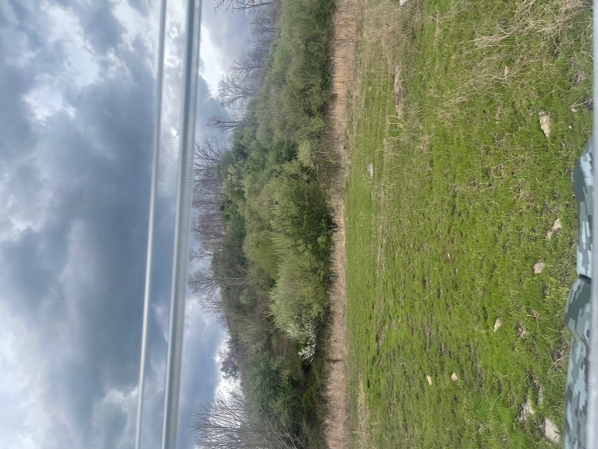 Upper Bullcreek
