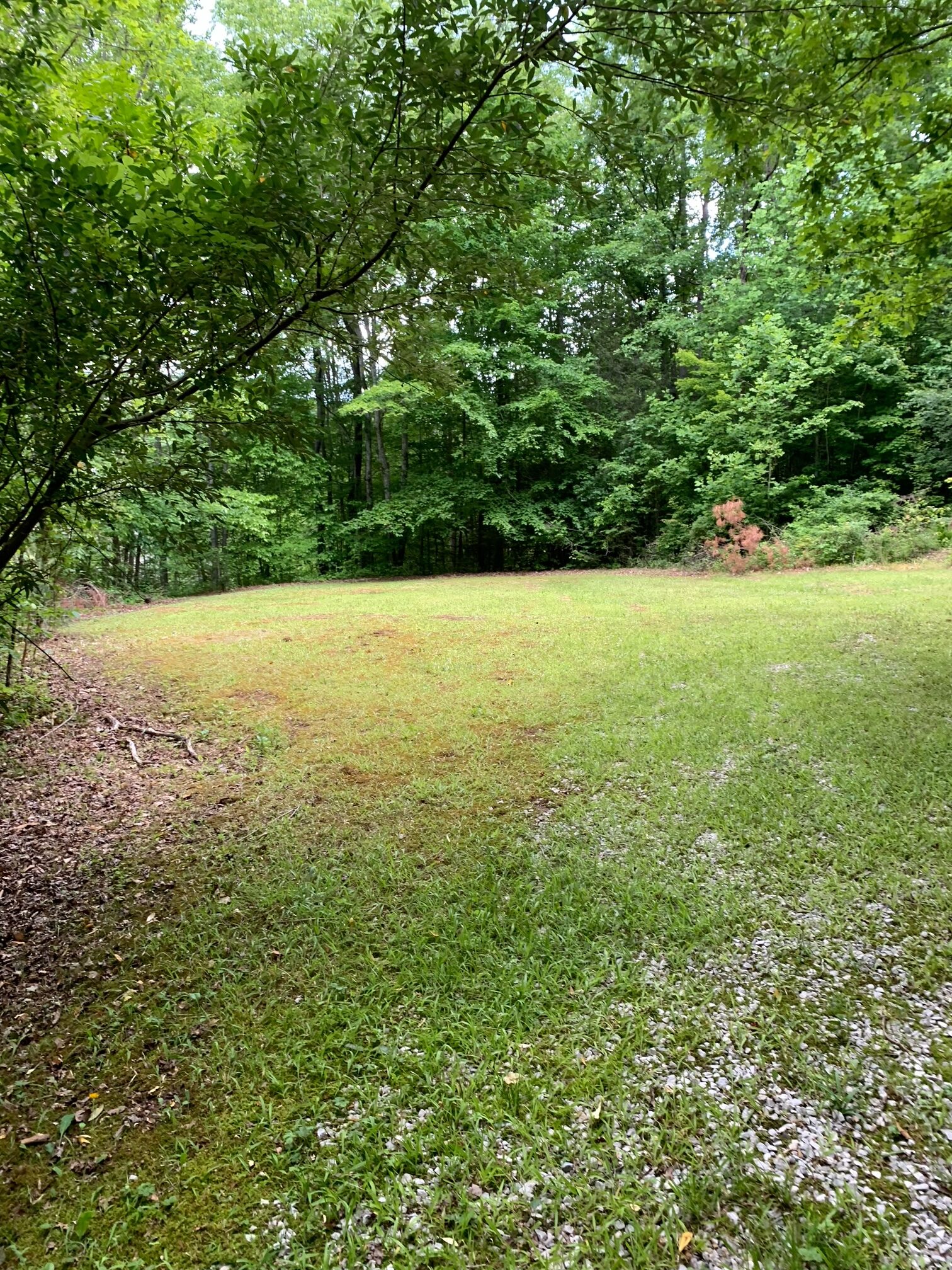 000 Burton Hollow Lane