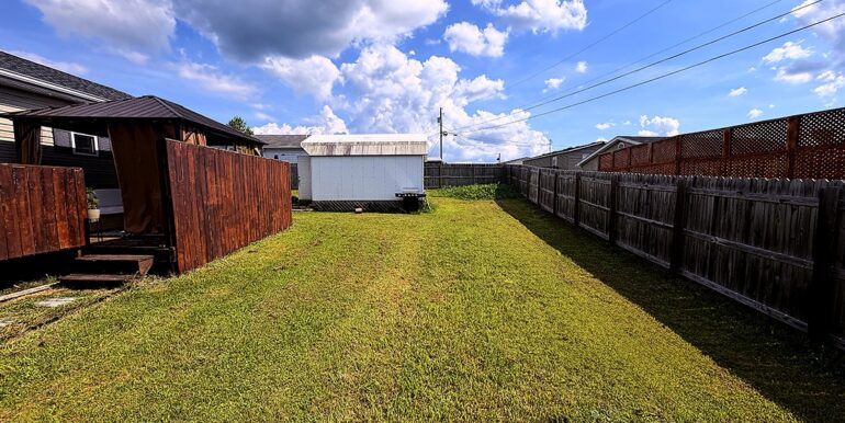 Backyard_1