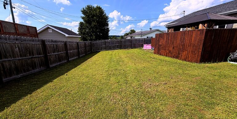 Backyard_2