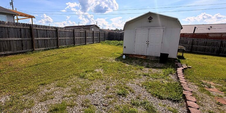 Backyard_3